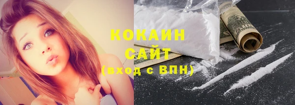 2c-b Богородицк
