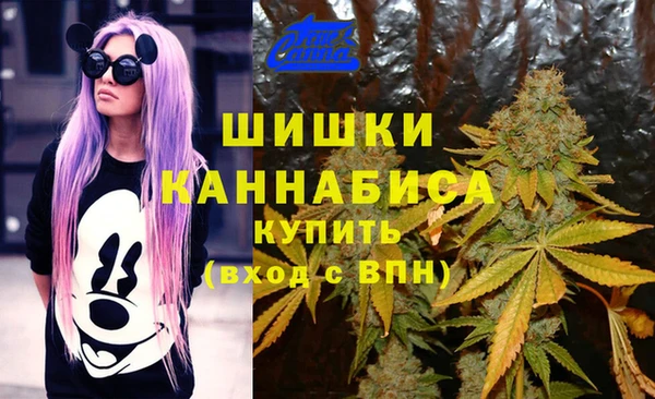 2c-b Богородицк