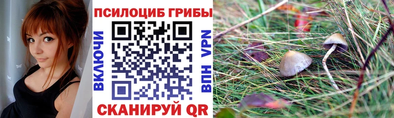 Псилоцибиновые грибы MAGIC MUSHROOMS Тольятти